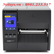 Máy in mã vạch Zebra ZT 231 300DPI 